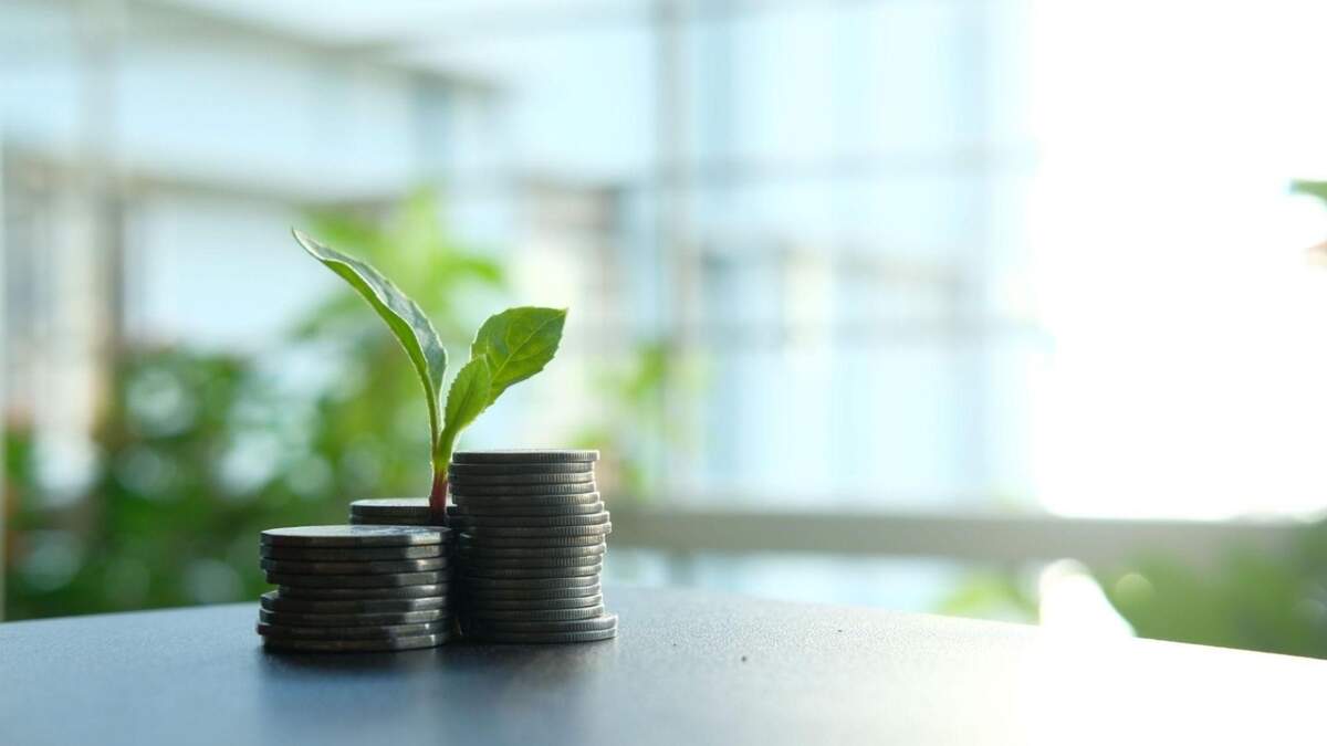 How this Olympia Business is Rethinking Sustainability as A Growth Strategy