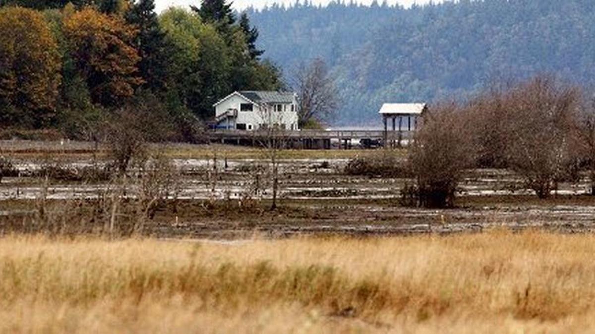 
A low morning delta tide offers contrasting topography between the Nisqually National Wildlife Refuge and the neighboring Nisqually Reach Nature Center.
