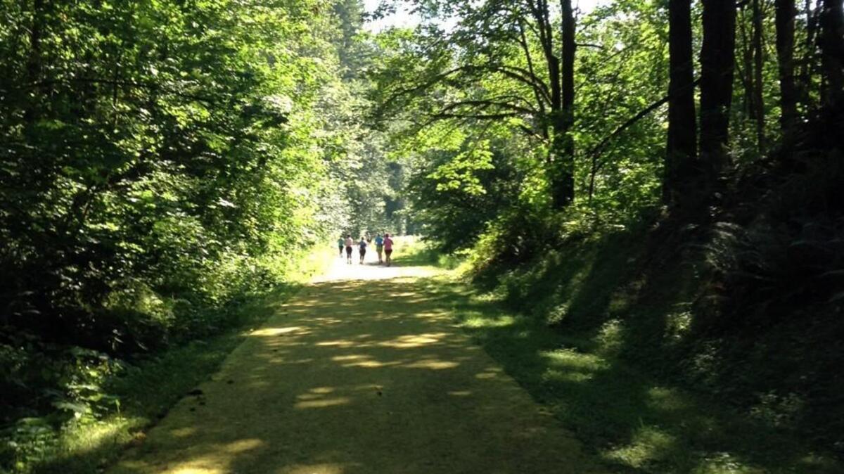 Runners jog a mossy section of the foothills trail between Buckley and South Prairie during the 2014 B&O Half Marathon. 