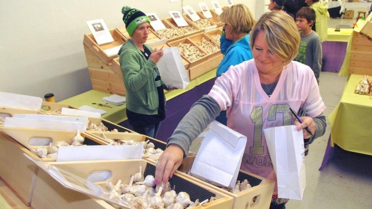 Shoppers at the Washington State Garlic Fest will be able to choose from 65 kinds of garlic for purchase.