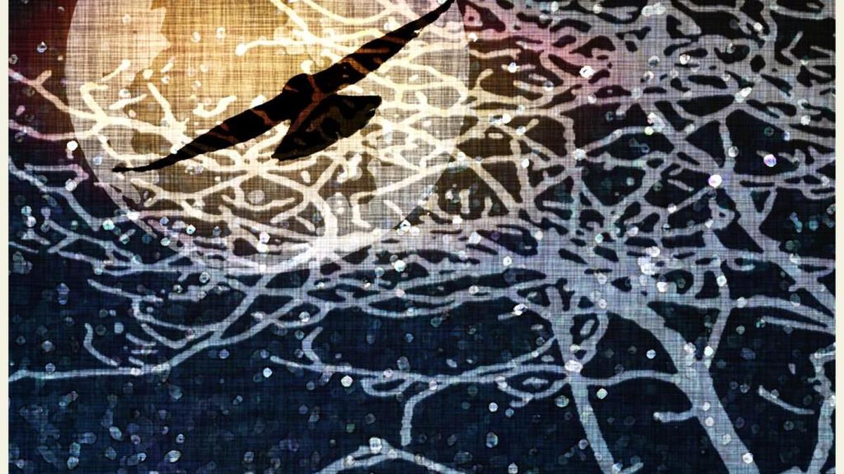 
“In the Night Sky” by Doyle Fanning is the artwork selected to appear on the cover of the 2015 Arts Walk map.

