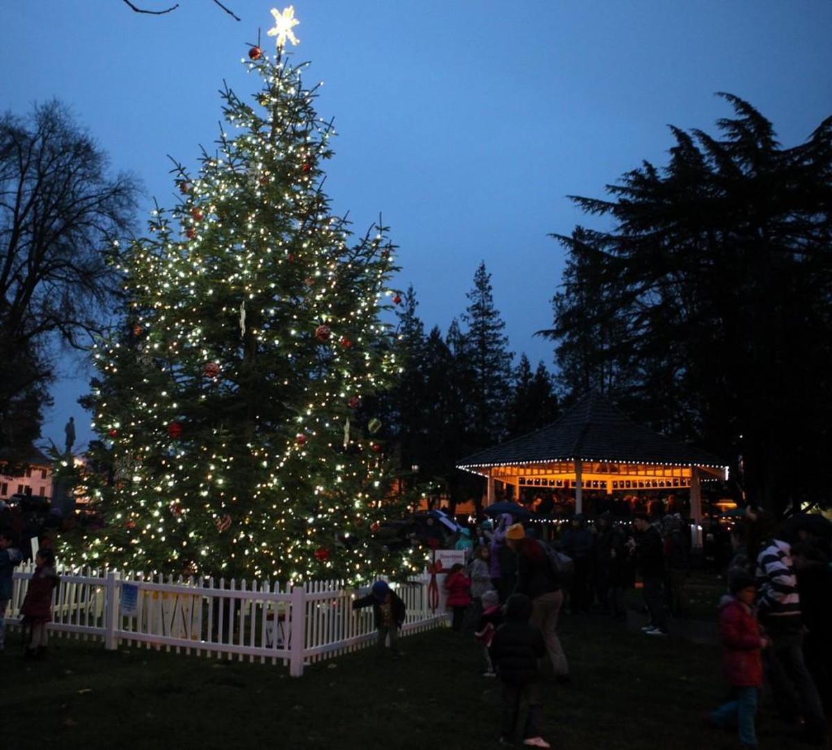 Join in the holiday spirit at the annual Downtown for the Holidays
