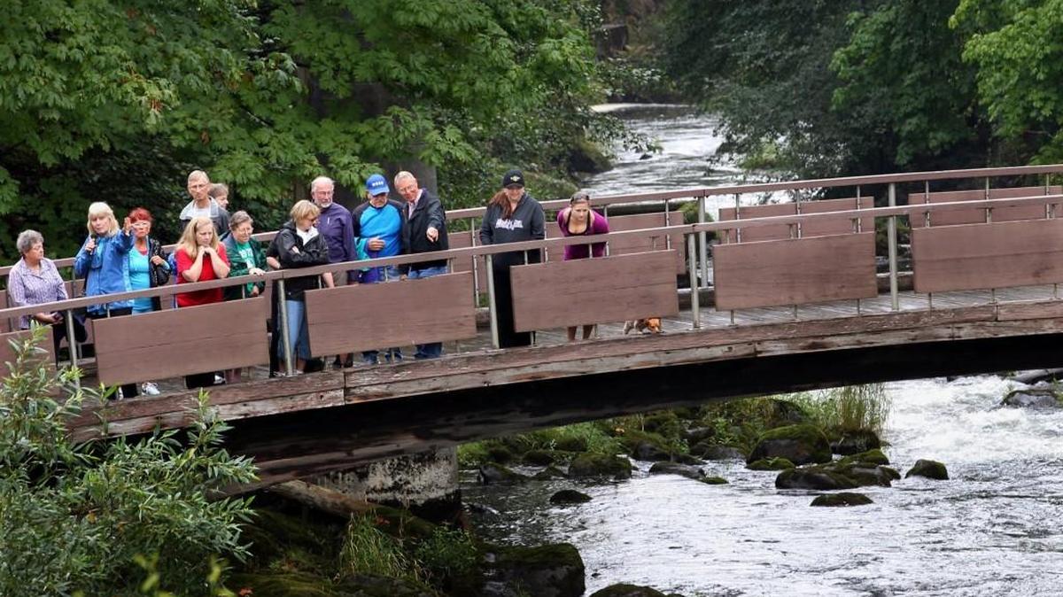
Sharing local historical stories and facts and armed with a megaphone, Carla Wulfsberg, public history manager for the Olympia Tumwater Foundation, left, stops briefly across the pedestrian bridge that spans the Deschutes River at Tumwater Falls Park on Sept. 4 while conducting a Riverwalk Tour. Take one Thursday with the Olympia Tumwater Foundation.
