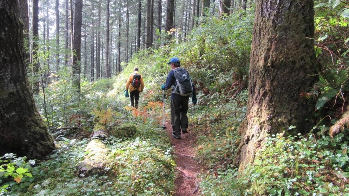 Craig Romano recommends hiking the Porter Trail in the Capitol State Forest.