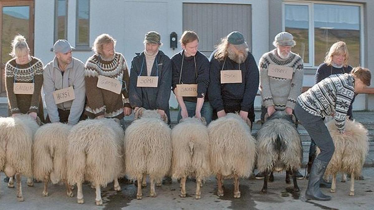 “Rams” is a simply but skillfully told tale of the hardships of isolated rural life in Iceland even today