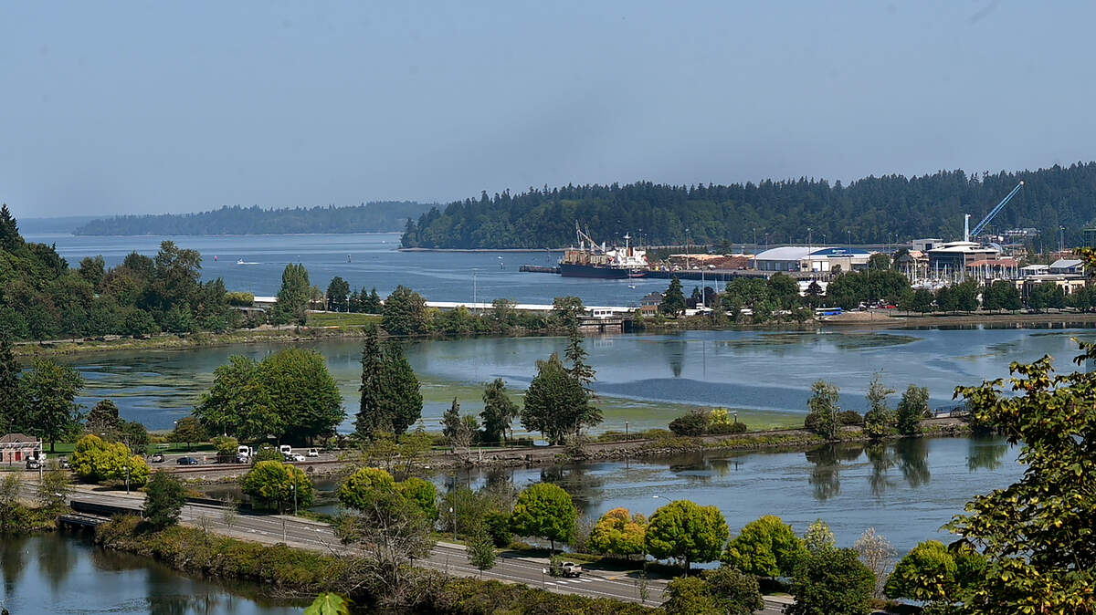 The public is invited to come together to learn more about restoration efforts across the Deschutes Watershed from 9 a.m. to 4 p.m. Saturday at 2800 Dogtooth Lane NW, near the House of Welcome on The Evergreen State College campus in Olympia. 