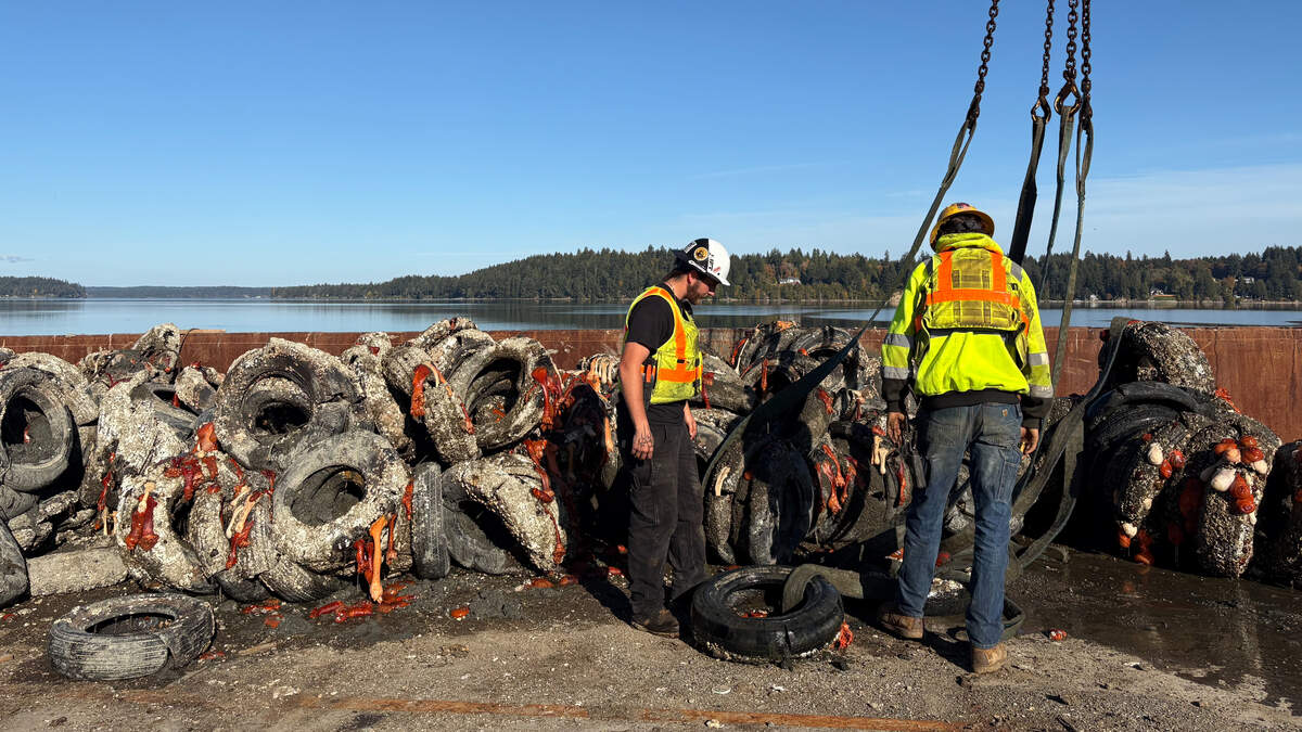 WA state removes 2,000 tires from Thurston County park. Why were they there?