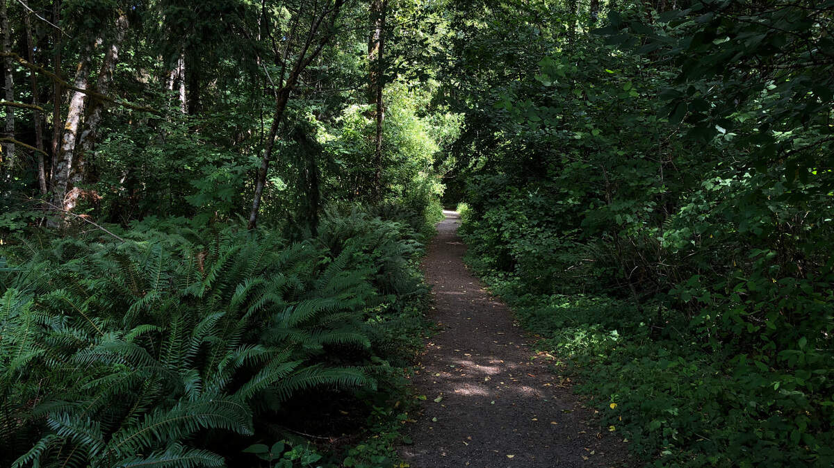 Grass Lake Parks Current trail starts out wide and graveled, but gradually narrows and turns to dirt.