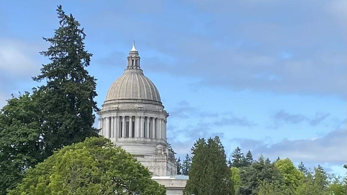 A whole batch of new Washington state laws go into effect on Sunday, July 23.