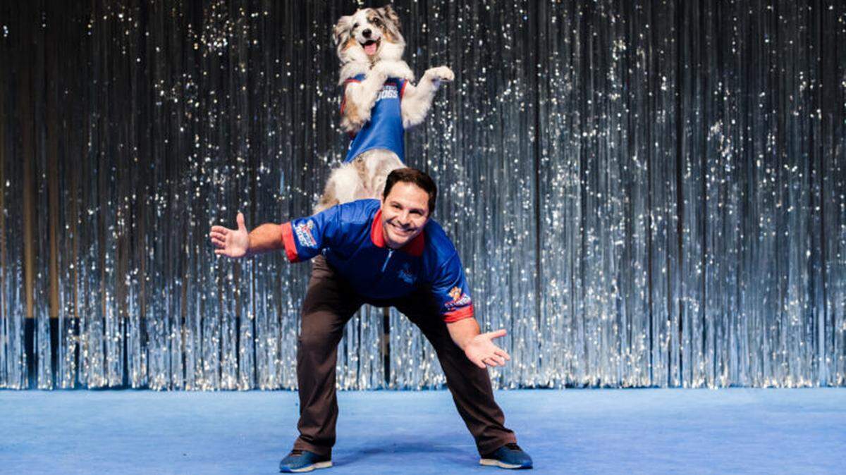 Chris Perondi’s Stunt Dog Experience will perform two shows on Saturday — one at 2 p.m. and another at 6 p.m. — at the Washington Center for the Performing Arts in Olympia.