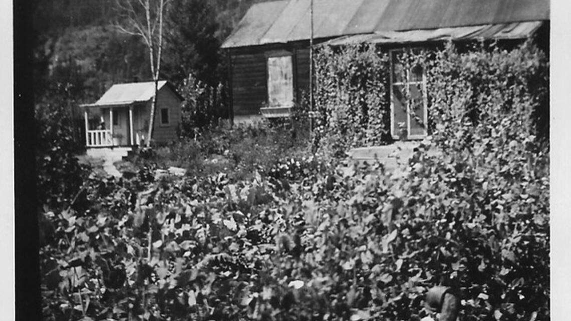 Looking to your family’s past can give you hope for the future