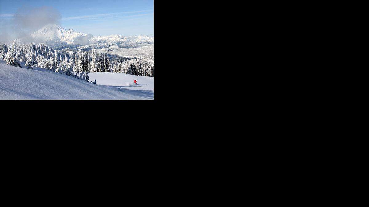 Paradise Basin opens at White Pass