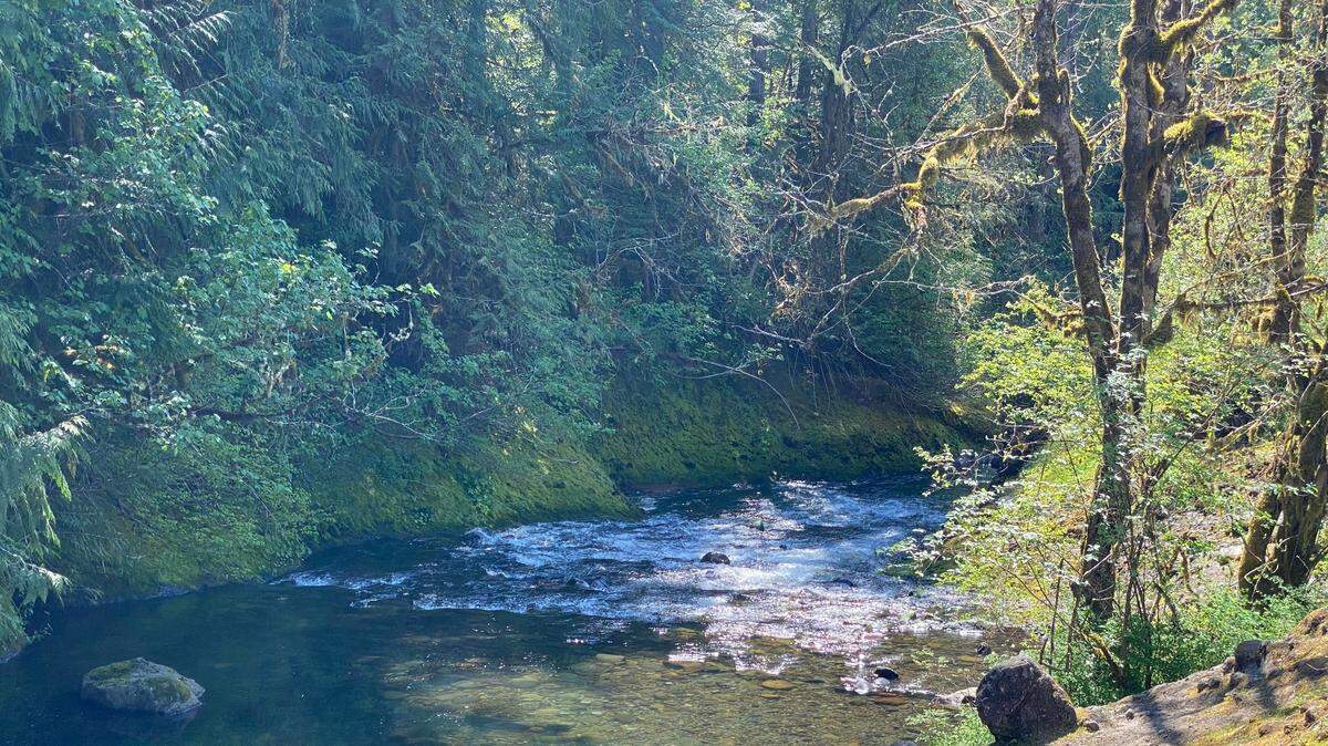 The Deschutes River makes its way past Deschutes Falls Park near Yelm.
