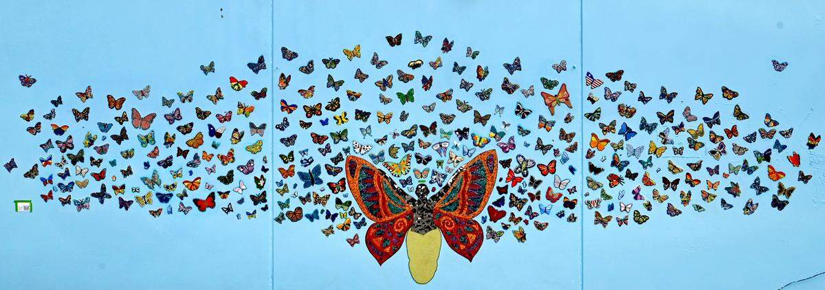 Mosaic mural artist Jennifer Kuhns along with a small. Crew of dedicated volunteers nears completion of a colorfully striking, butterfly-themed art price on the back wall of Lloyd’s Transmission in downtown Olympia on Sept.6, 2023. Kuhns is also the featured cover artist for the 2023 fall Olympia Arts Walk festival which will run Oct. 6-7.