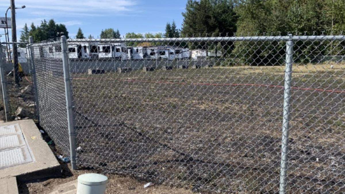 A grassy field was burned by a suspected arsonist the afternoon of Aug. 23, according to Olympia police.
