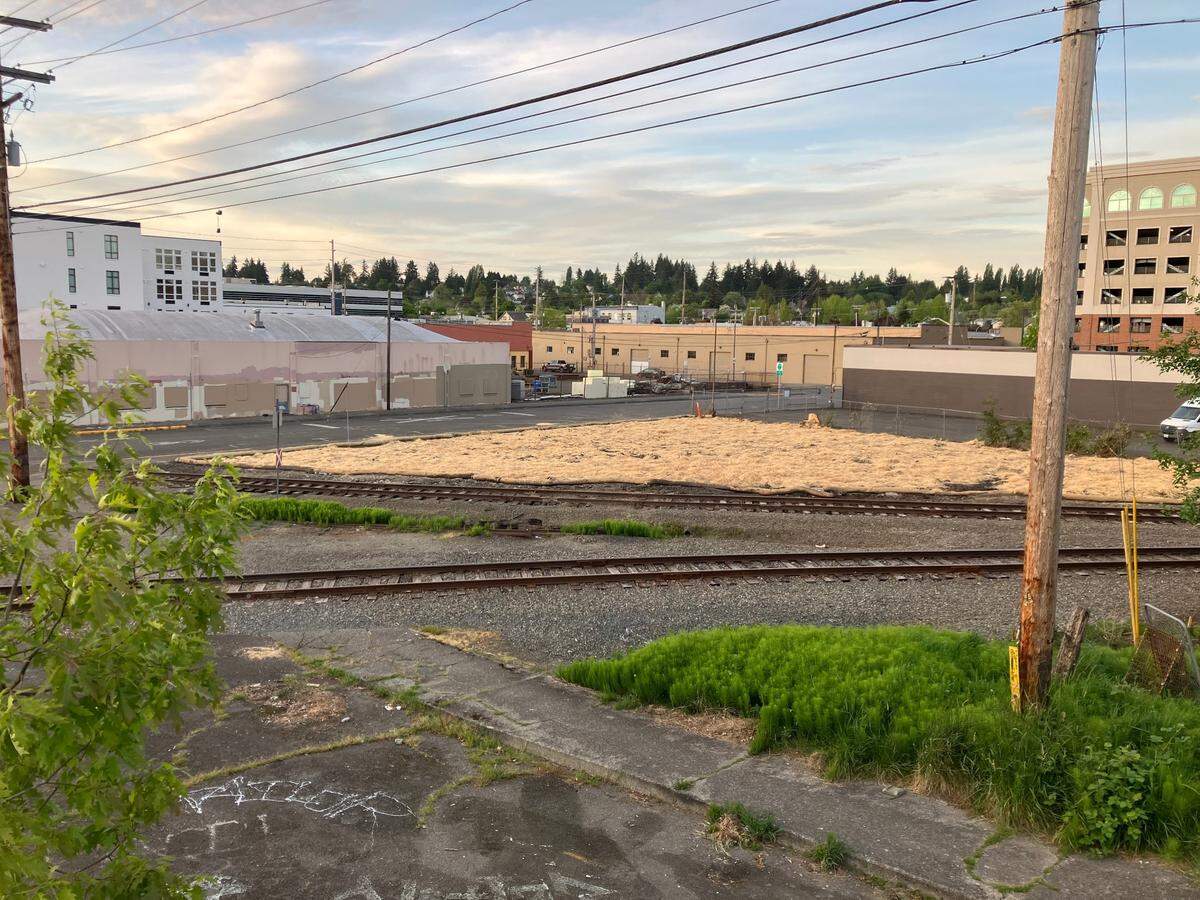 This downtown Olympia lot, which was once home to a fire-damaged house, has since been cleaned up.