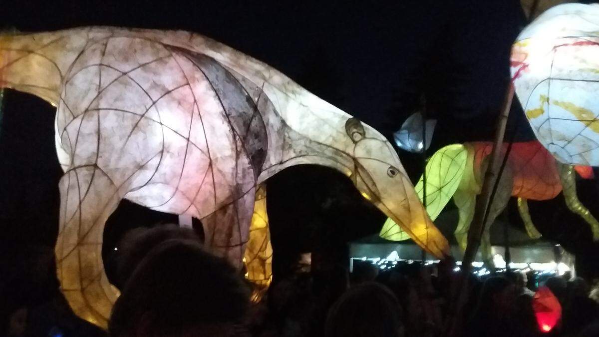 Participants make their way along the route of the first Luminary Procession at West Central Park in Olympia in 2018.
