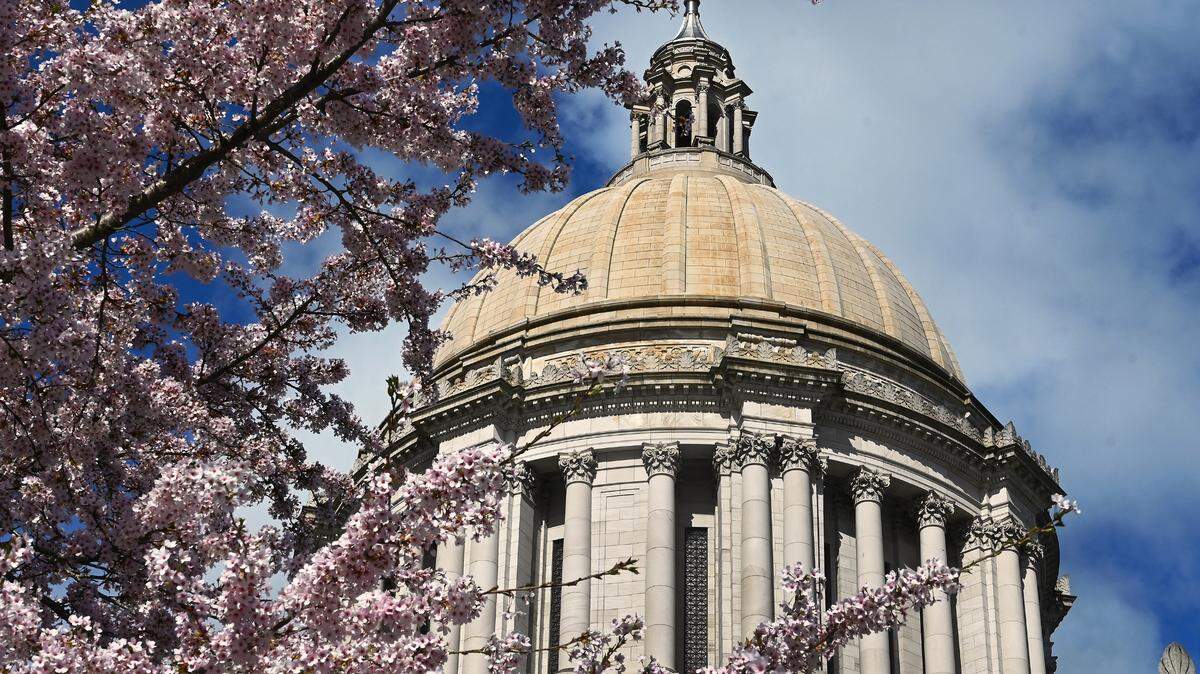 Cherry blossoms frame the Legislative Building’s Capitol Dome on March 31, 2022. A new law passed during the 2022 Legislative session could change the way some Washingtonians decide to vote for an initiative that will appear on November’s ballot.