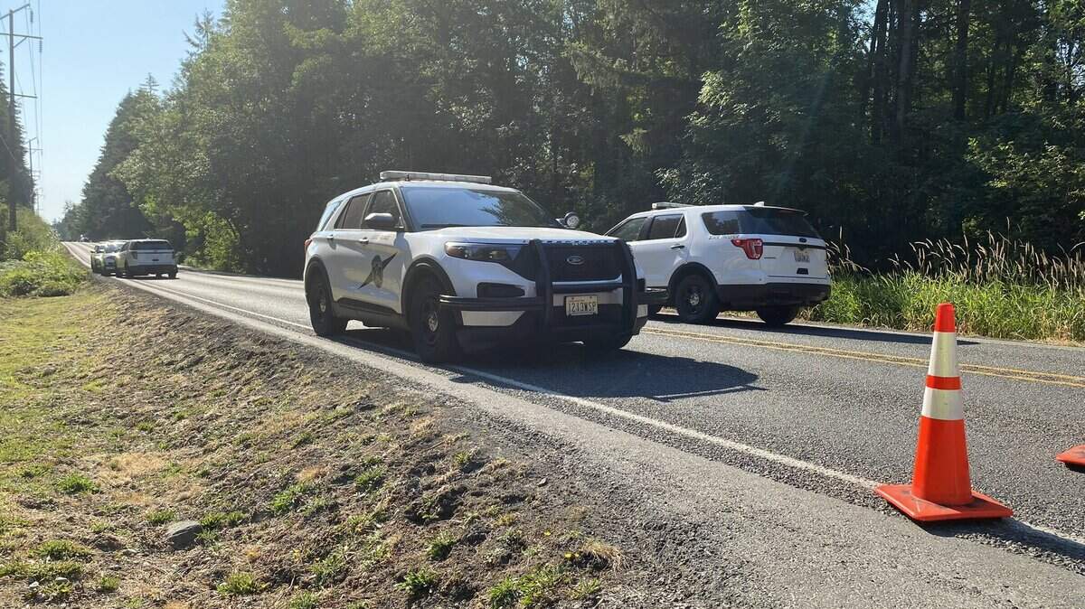 The Roy woman was walking along the shoulder when she attempted to cross the highway and was hit by a Rainier man, according to State Patrol.