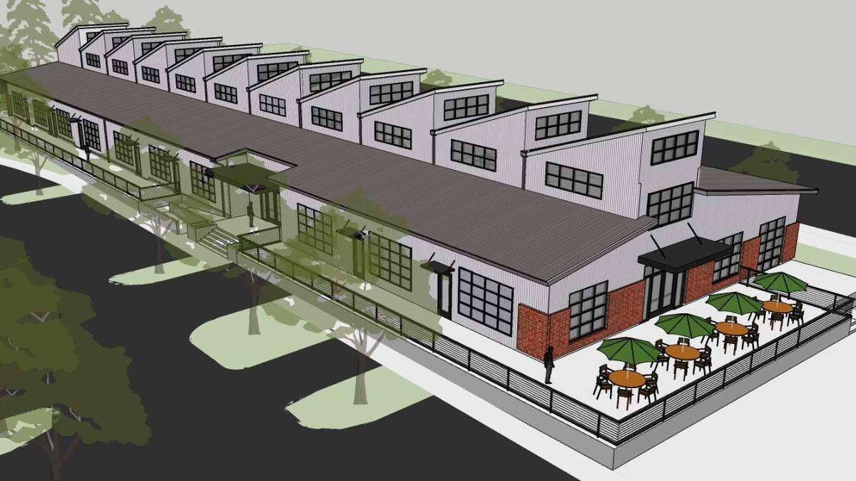 Eugene-based Ninkasi Brewing announced Friday it plans to open a pub and work with South Puget Sound Community College at the Tumwater Craft District now under construction on Capitol Boulevard near E Street.