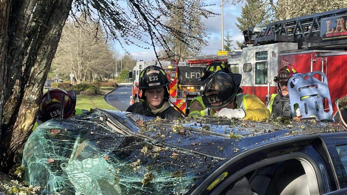 Lacey fire crews were dispatched to NE Lacey about noon Sunday after a driver crashed into a tree.