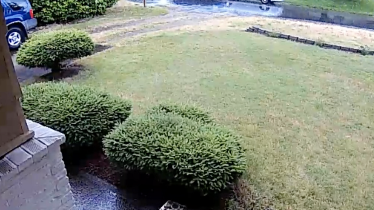 Screen Shot of home security video showing a hit and run on 26th Ave. SE., in Lacey, WA. The blue vehicle is reported by Lacey Police to be a third generation Volkswagen Golf. Soon after the collision pictured above, the car drove away.