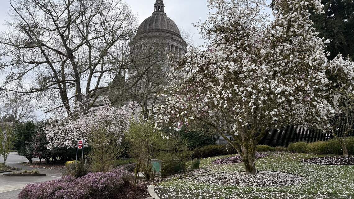 Medicaid cuts will hit 200,000 WA residents. Governor aims to protect coverage