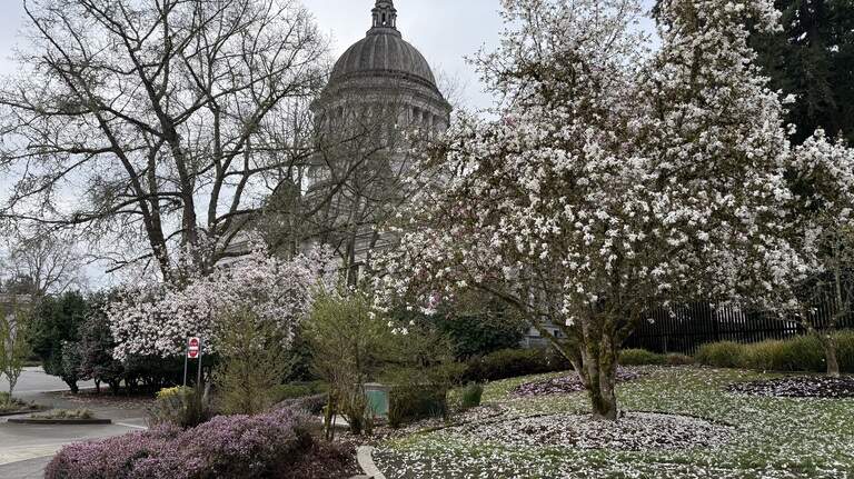 Medicaid cuts will hit 200,000 WA residents. Governor aims to protect coverage