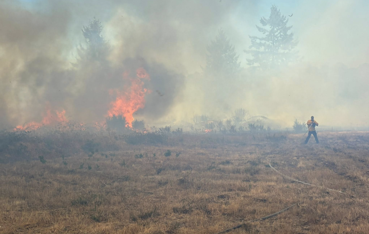 A firefighter stands near a brush fire near Case Road and 180th Avenue Southwest just north of Grand Mound on Monday, Aug. 11, 2025. Firefighters with West Thurston Fire Authority and several assisting agencies contained the fire and protected nearby structures.