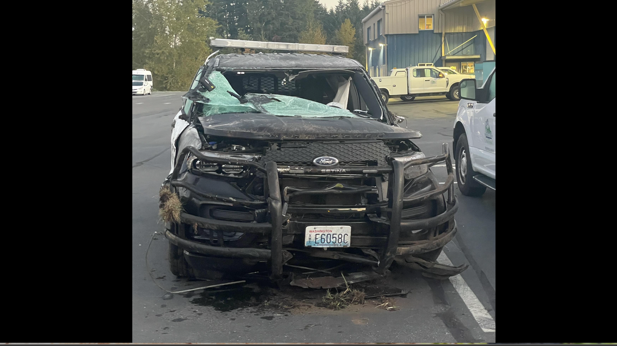 A Thurston County deputy crashed their patrol vehicle on Old Highway 99 Southeast while enroute to a collision in Yelm just after midnight Wednesday, Oct. 15. Sheriff Derek Sanders shared a photo of the damaged patrol vehicle on his Facebook page.