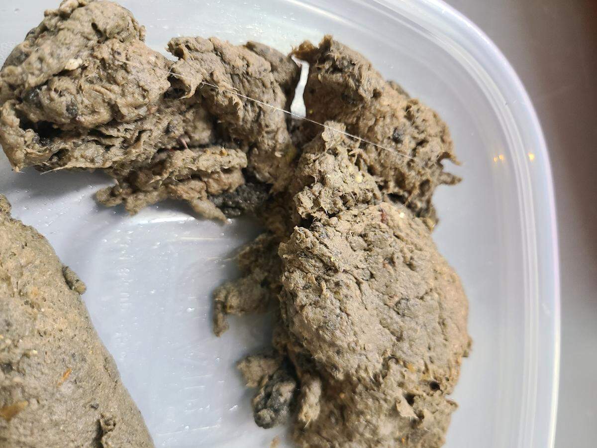 An image of a sample of the unusual gray substance that’s annoyed staff at the Budd Inlet Treatment Plant in downtown Olympia. LOTT Clean Water Alliance believes its some type of plant matter, but they don’t know where its coming from.