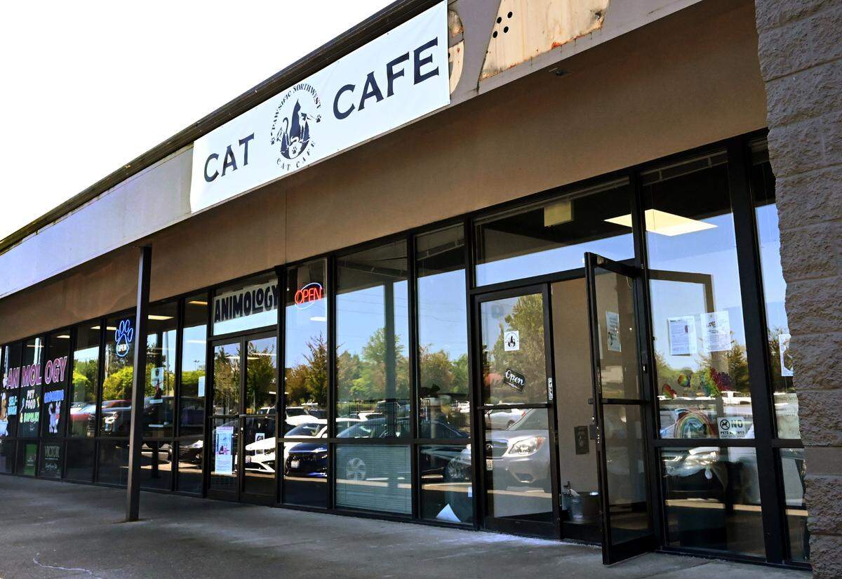 Tiffany Weitzel opened the Pawsific NorthWest Cat Cafe in May as an adoption platform for local rescues that do not have public shelters or buildings for adopters to meet and adopt cats and kittens, including strays and those who have been abandoned. Not just a cute play on words, the cafe offers a variety of beverages and food along with some local artworks and kitty-centric gifts.