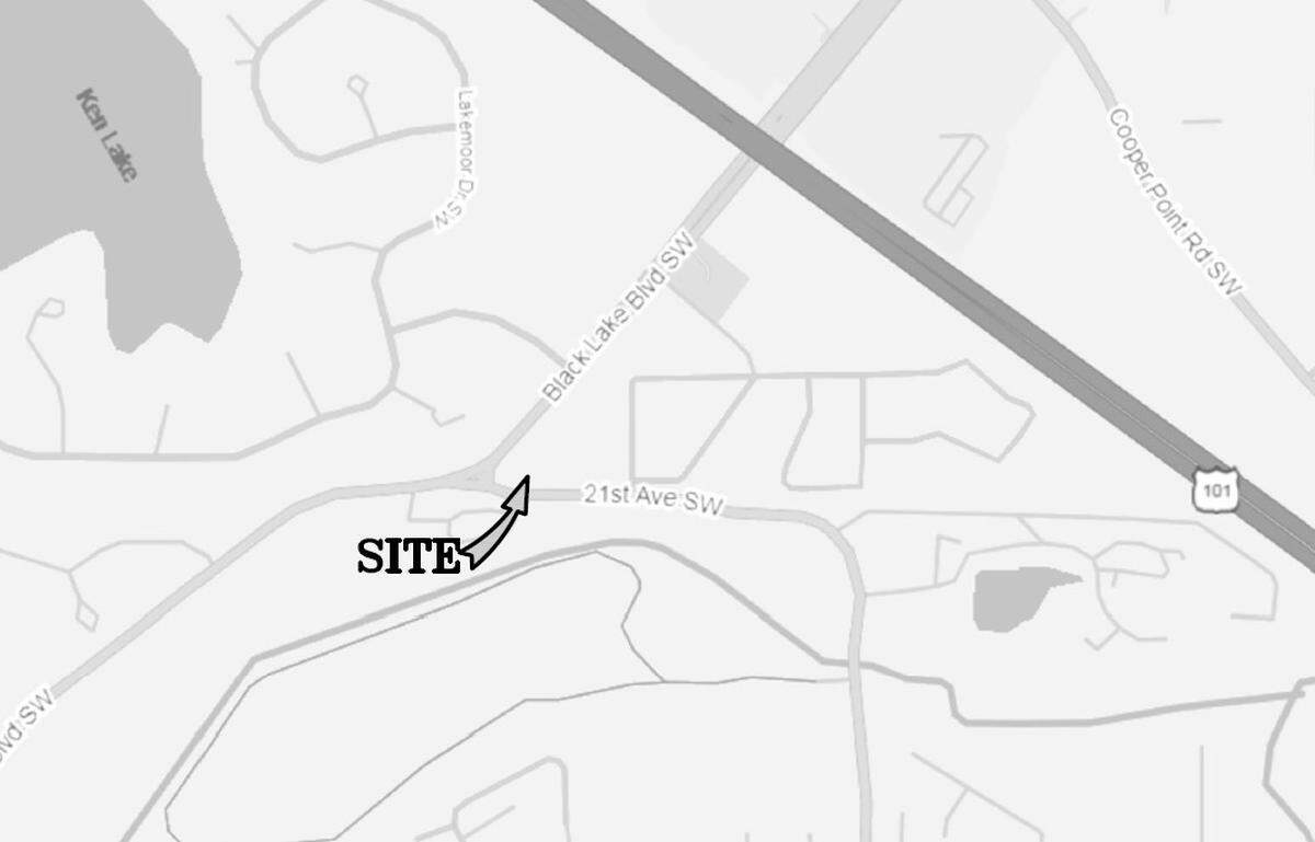 The proposed site of the Black Lake Apartment project.