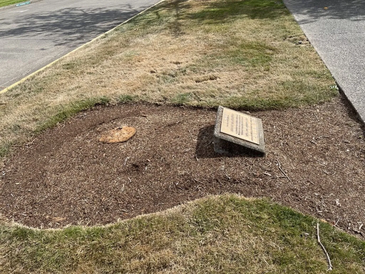 A tree planted next to the Washington State Capitol in memory of the late Sen. Cal Anderson, the first openly gay member of the Washington state Legislature, was chopped down earlier this month.. It was one of several trees removed because they were dying.
