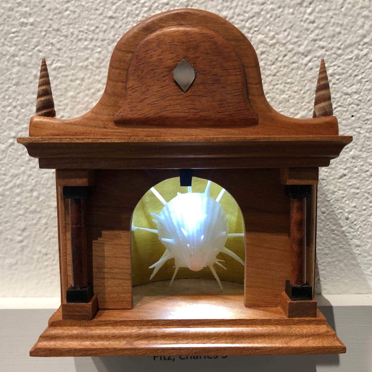 Charles Pitz’s elaborate wooden vitrine displays a shell that can be illuminated by an LED bulb and serves as a shrine to dead sea life.