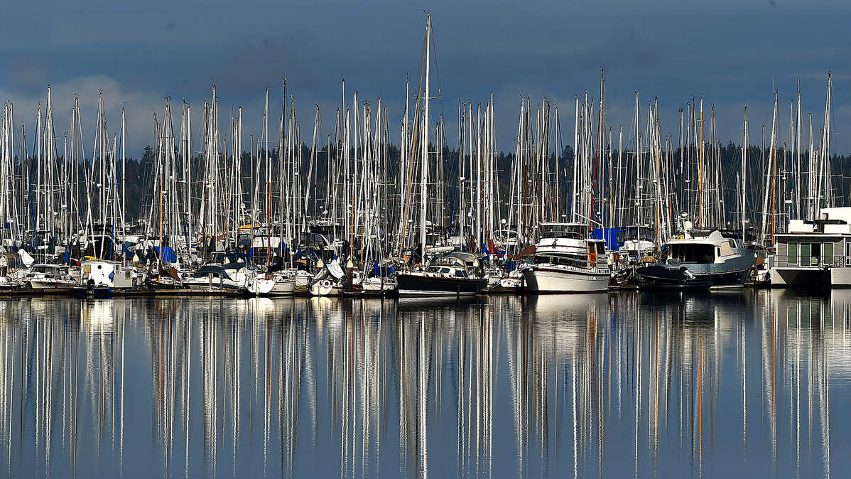 Some Port of Olympia Swantown Marina workers are now represented by a new union.