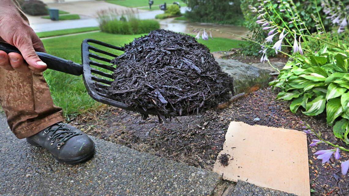 Thurston County is ending its free mulch program over concerns about safety, content