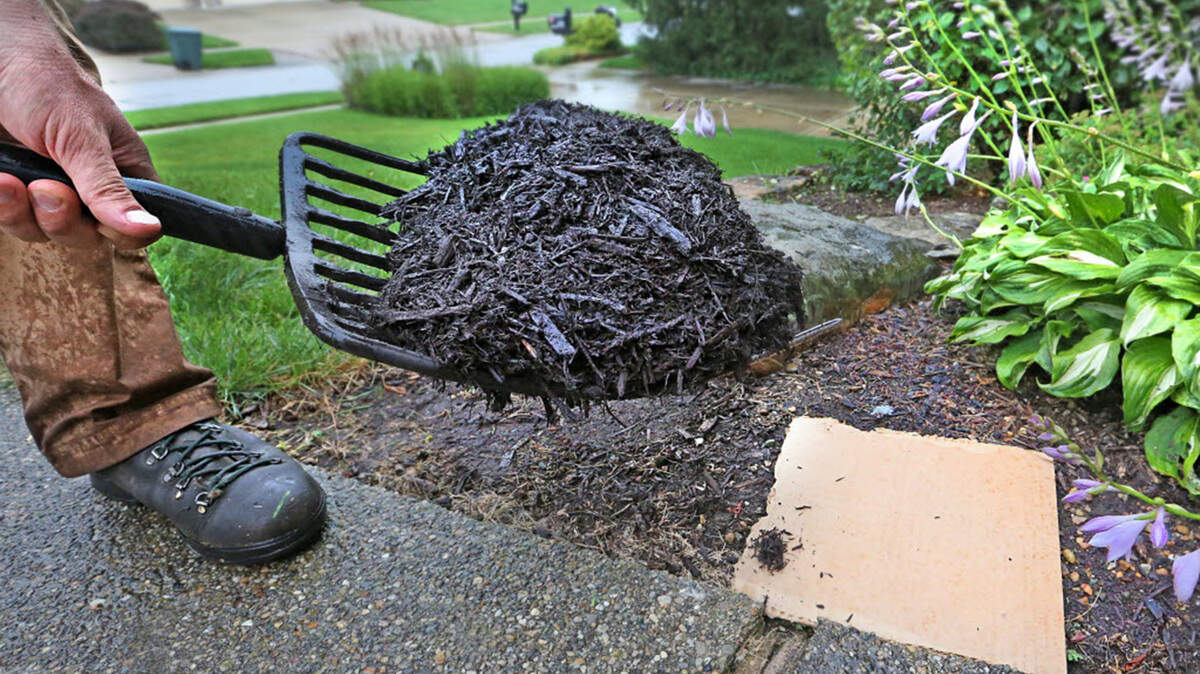 Mulch seals in moisture and keeps the sun from heating up the soil. Thurston County is ending its free mulch program at the Waste and Recovery Center (WARC) in Lacey, but mulch will continue to be available on a first-come, first-served basis through Jan. 31. 
