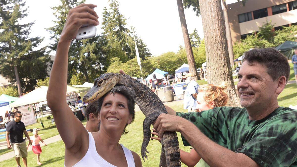 Evelyn Andersen of Olympia takes a selfie with Lucy, a tame 35-pound American alligator Scott “The Reptile Man” Petersen, right, raised since it was a baby.