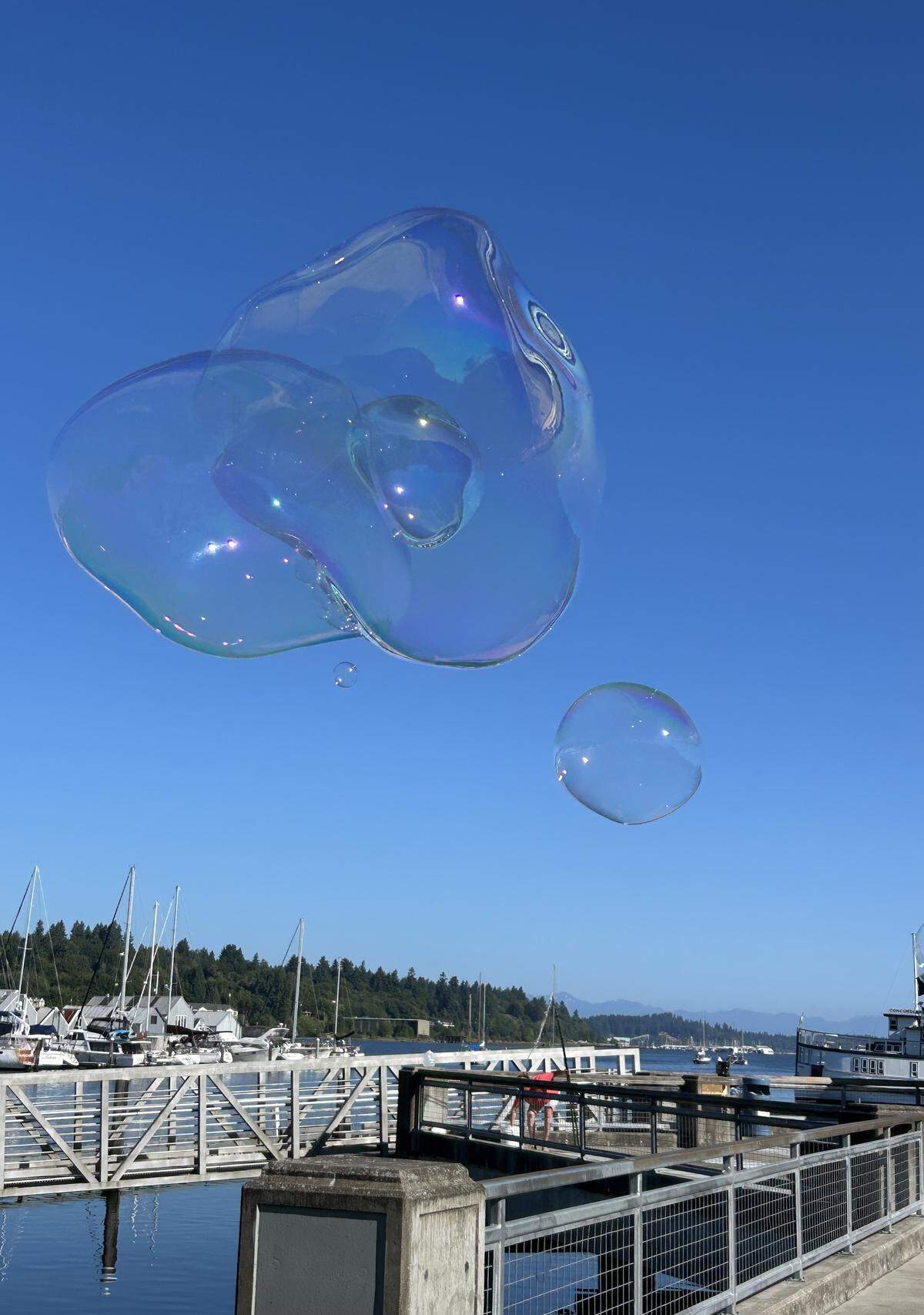 Eye-catching bubbles floated along the waterfront on July 15.