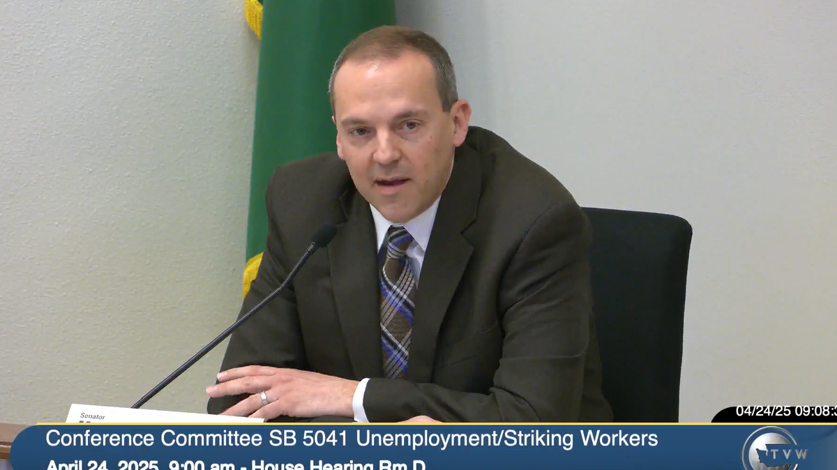 Sen. Marcus Riccelli, D-Spokane, speaks about SB 5041 during a conference committee hearing on April 24.