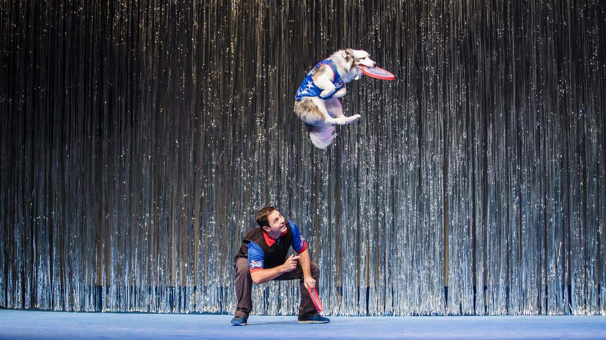 “Chris Perondi’s Stunt Dog Experience,” a favorite with South Sound audiences, returns to the Washington Center for two shows on Nov. 1.
