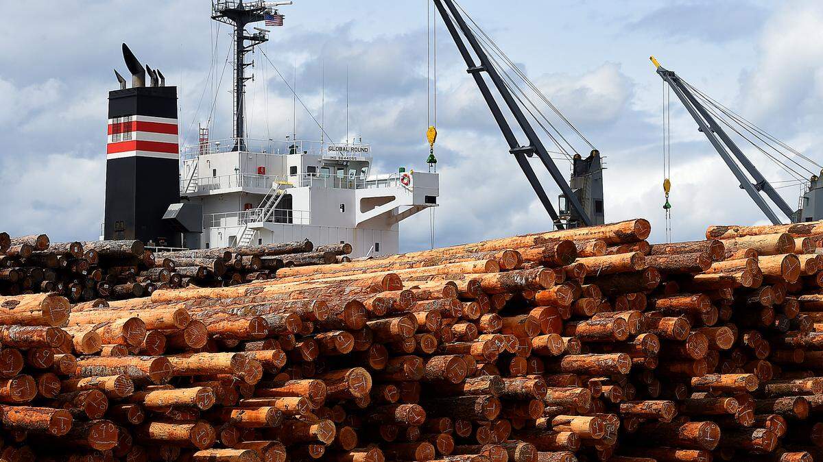 Logging operations at the Port of Olympia’s marine terminal.
