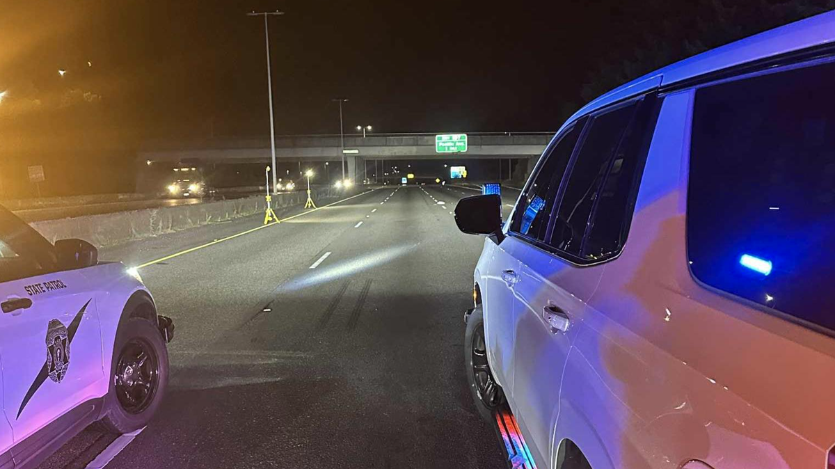 Thurston County Sheriff Derek Sanders shared a photo from Interstate 5 where a vehicle struck a pedestrian Wednesday night. The collision occurred after 9 p.m. at milepost 108 of southbound I-5 near Sleater Kinney Road, Trooper John Dattilo said.
