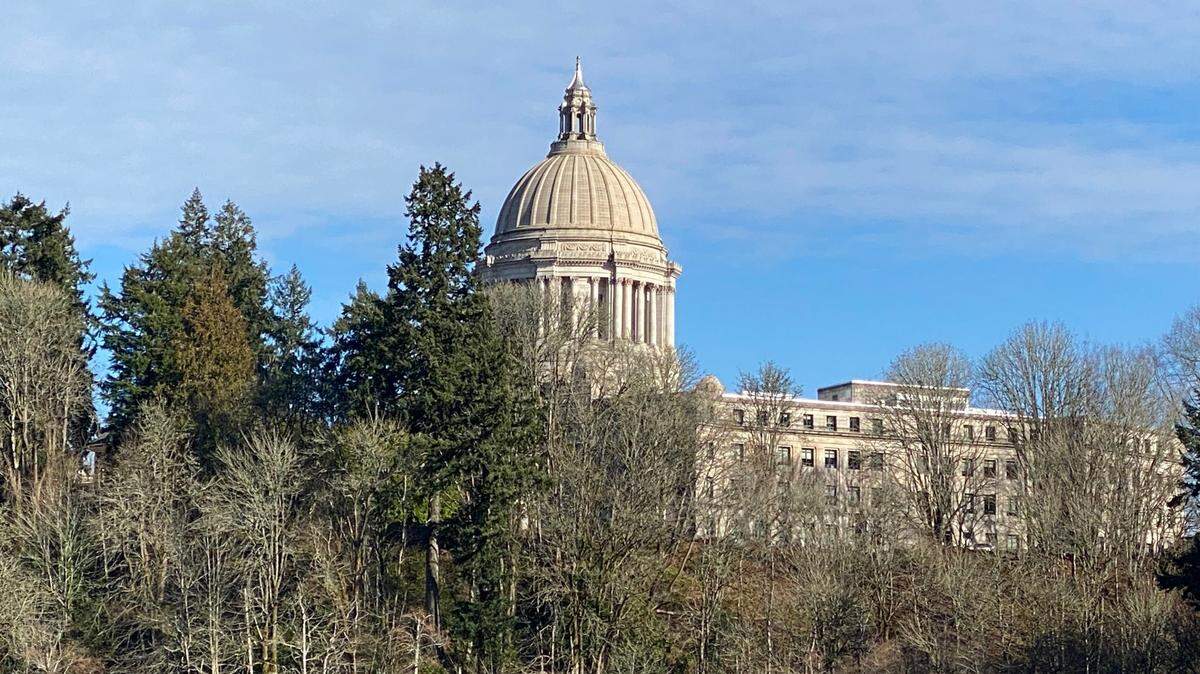 A bill now before the Legislature would require health care plans in Washington state to cover the costs of infertility diagnosis and treatment.