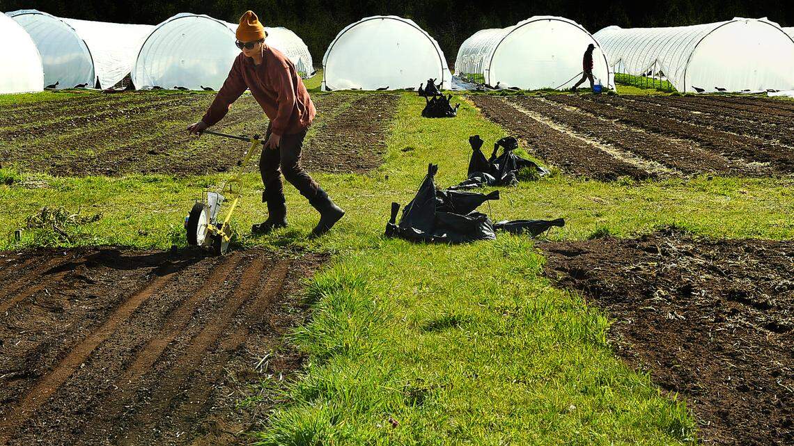 Farmers and their markets adapt to continue providing fresh food