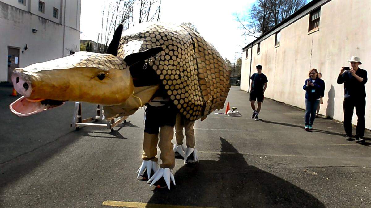 Procession of the Species is Saturday. Here’s what to know