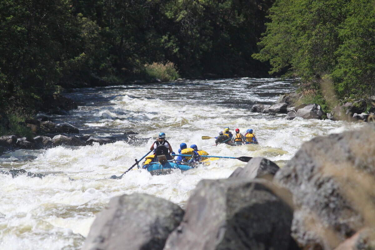 Whitewater rafting on the Rogue River can be a big adventure or a relaxing ride, depending on the excursion you choose.