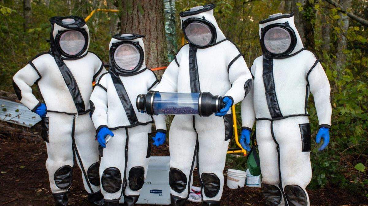 Washington state Department of Agriculture’s hornet eradication team after removing hornets from the tree at the first hornet nest detection in the United States in October 2020. From left, Chris Looney, Cassie Cichorz, Sven Spichiger and Rian Wojahn.