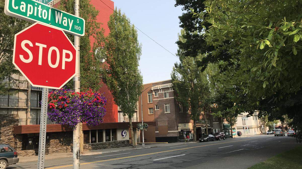 Beginning Aug. 20, city crews will prune trees along Capitol Way in downtown Olympia. The work is expected to last three to four weeks.